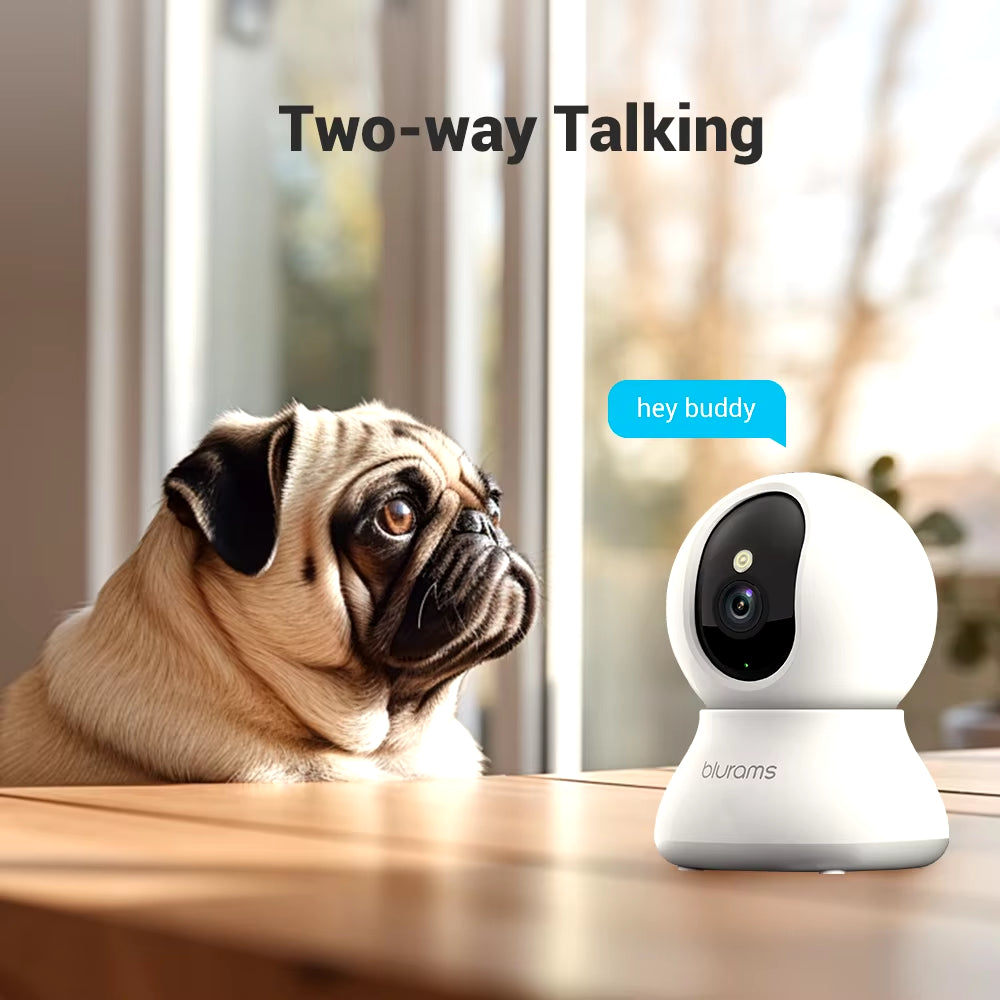 Two-way audio feature — person speaking to pet via security camera app