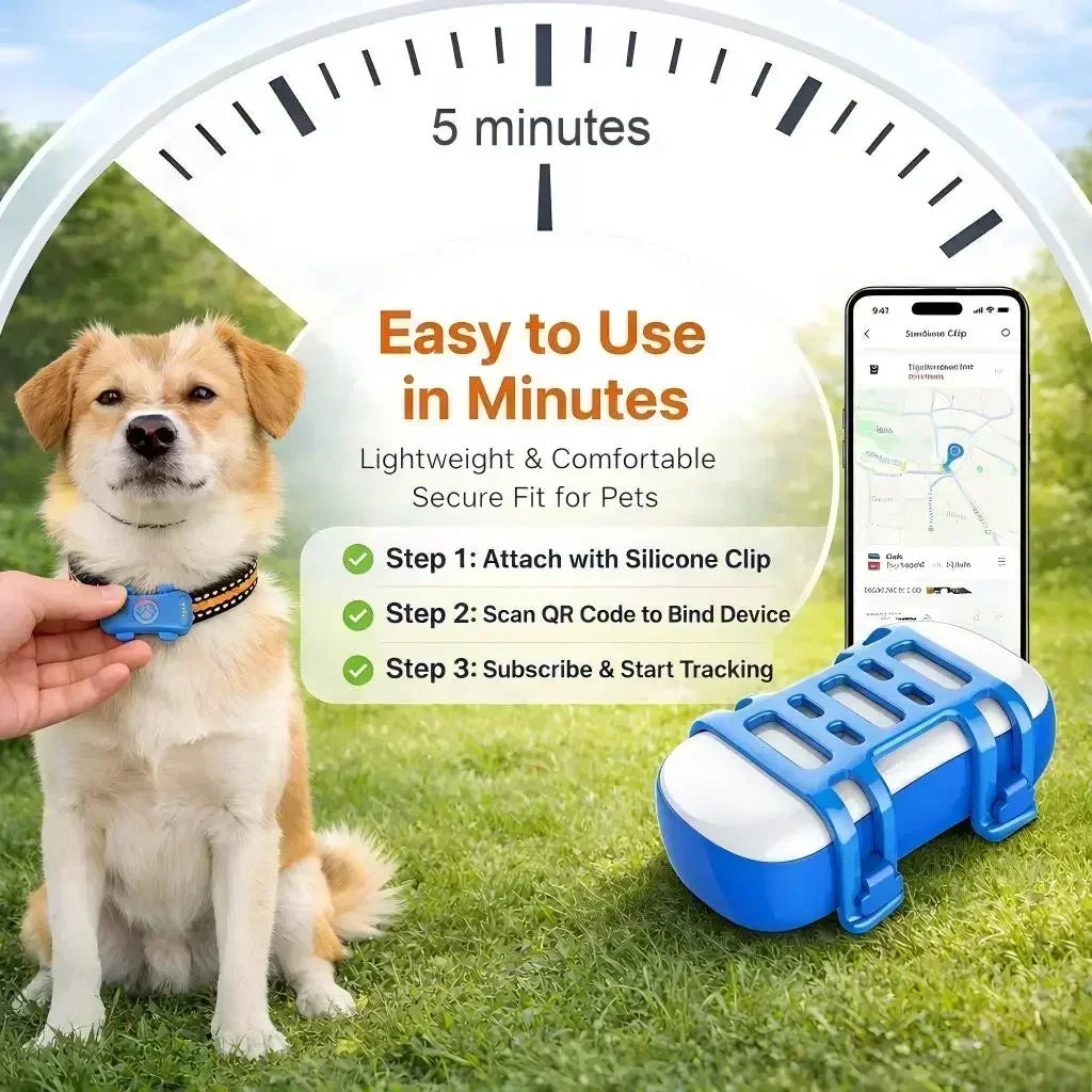 GPS Pet Tracker 4G geo-fence safe zone setup on smartphone
