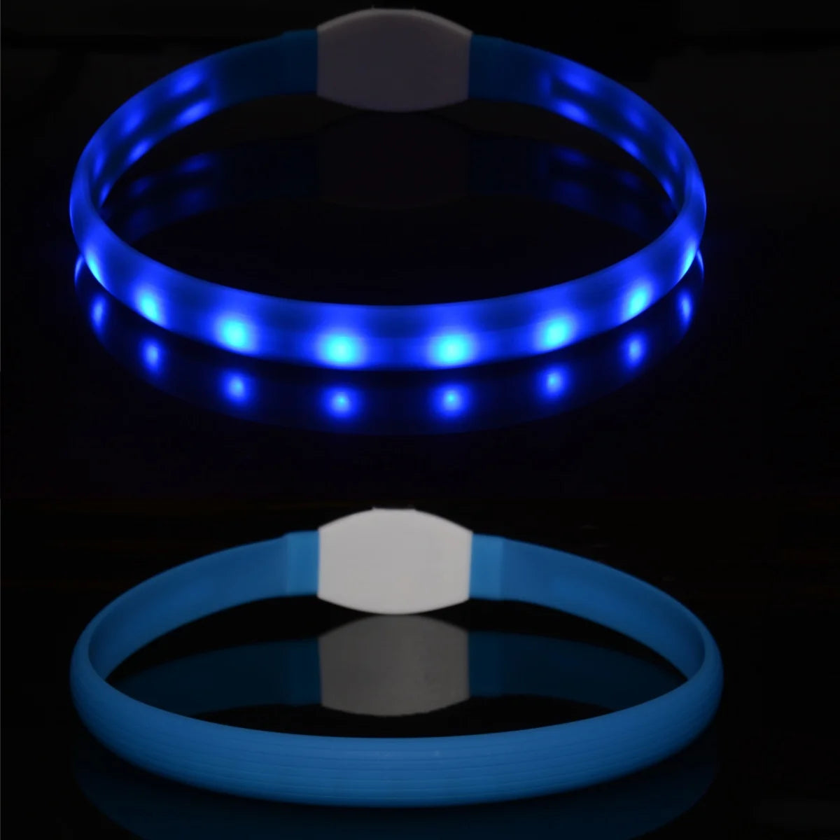 LED light up dog collar in blue, USB rechargeable waterproof night safety collar for dogs
